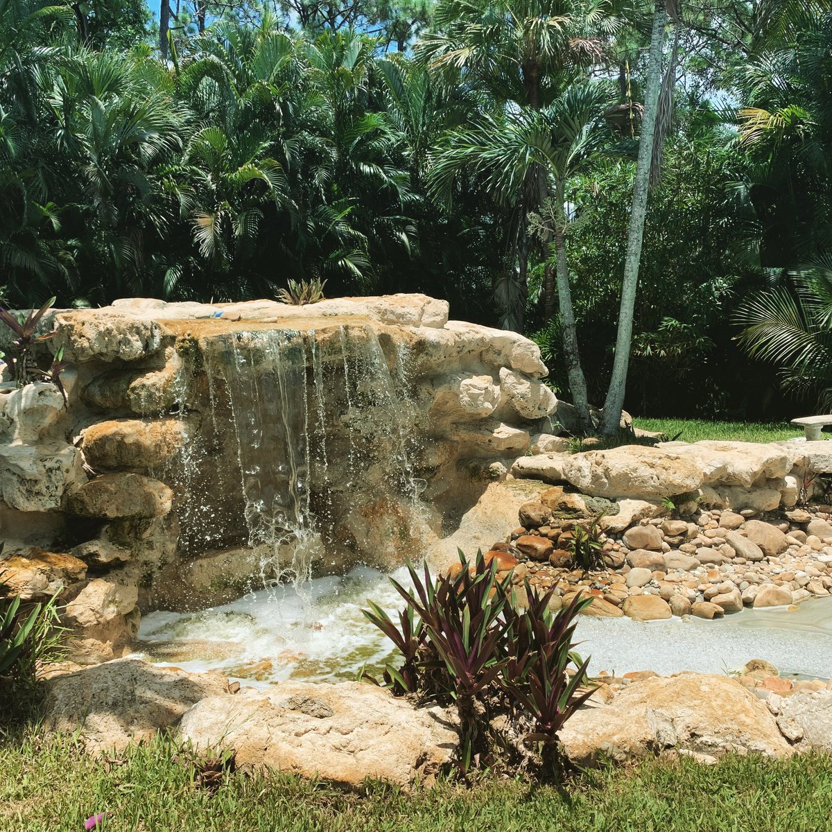 PoolPalm's tweet image. 