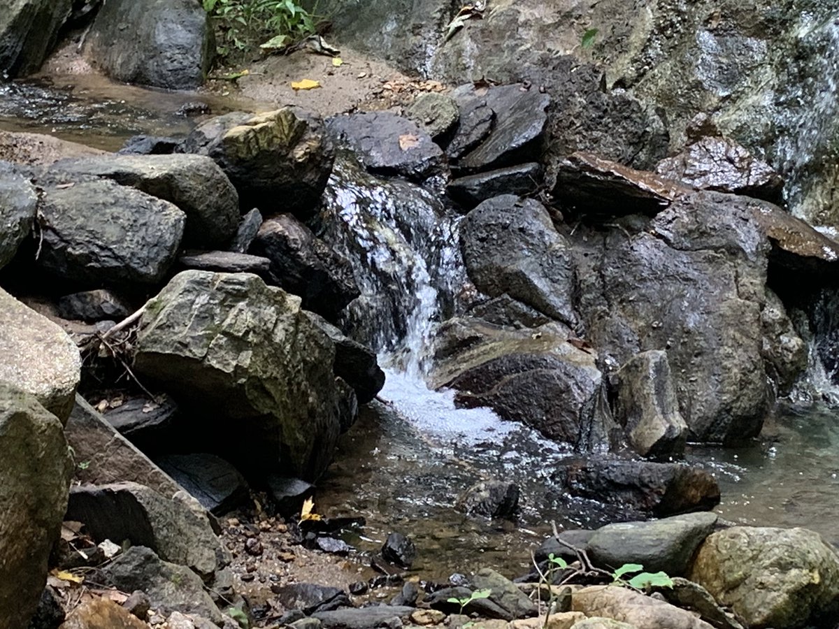 teacherfirst73's tweet photo. Beautiful day spent outdoorsπ #yesitwashot #stilllovedit #hike #outdoors #over5miles #lotsofhills #lotsofsteps #dirtydancinglog β€οΈ https://t.co/ypMt1M7XFP