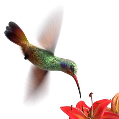 zosfm's tweet image. #صورة_جديدة_للملف_الشخصي