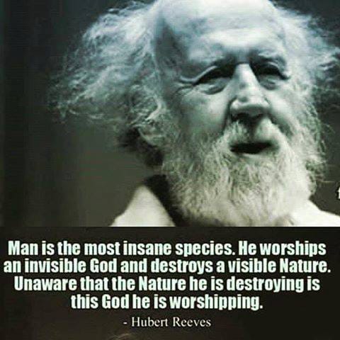 AmericanIndian8's tweet photo. #INDIGENOUS #TAIRP https://t.co/zba2KNCTZu
