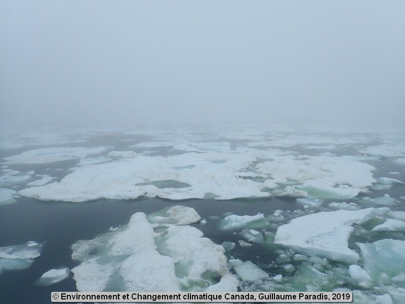 Current position of the CCGS DES GROSEILLIERS. 
Photo credit : Environnement et Changement climatique Canada
<a href="/CoastGuardCAN/">Canadian Coast Guard</a> <a href="/MarineTraffic/">MarineTraffic</a> #ccgsdesgroseilliers