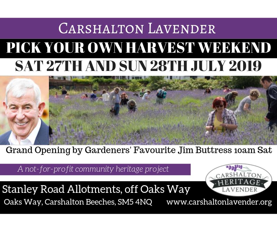 ONE WEEK TO GO! South #London's only PYO #Lavender Harvest. Grand Opening by Gardeners' Favourite Jim Buttress 10am Sat 27th July <a href="/TeleGardening/">Telegraph Gardening</a> would love a RT 😊