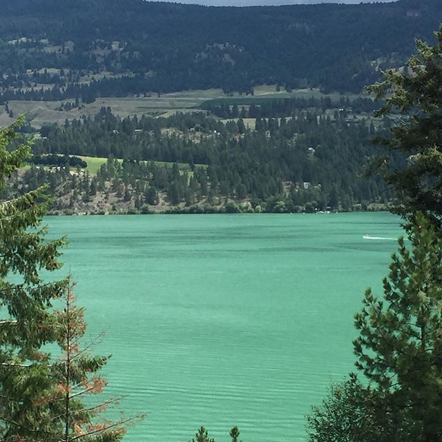 No filter needed as it’s the time of year where the lake turns this amazing bright turquoise. It looks so tropical! Yes it actually is this colour! .
.
#nofilter #woodlake #lakecountrybc #okanaganlife #lakelifeisthebestlife #naturelovers #canada🍁 #be… https://ift.tt/2GnbEkF