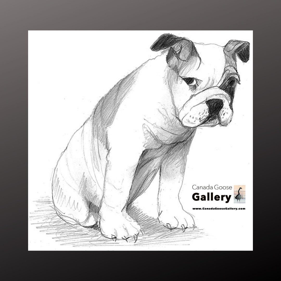 Good Morning from someone waiting to be noticed! #PBuckleyMoss #YouPromised #CanadaGooseGallery #WaynesvilleOhio #LimitedEditionPrint  bit.ly/YouPromisedGic…