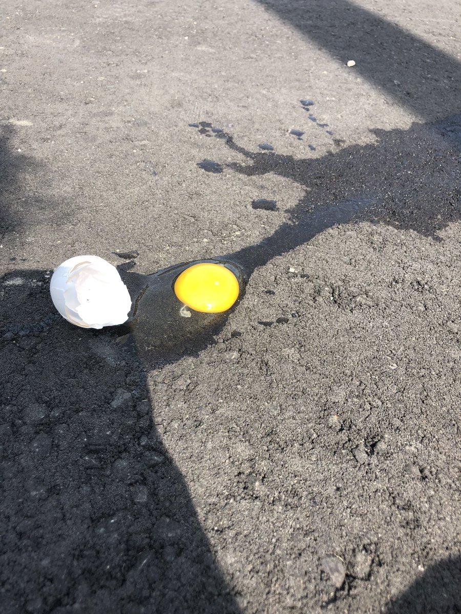 TaniaBumstead's tweet photo. It’s 40C/ 105F outside so we decide to do some #STEMdiscovery still not hot enough to fry an egg but we found a little friend on trip https://t.co/Eoe7XM7RHe