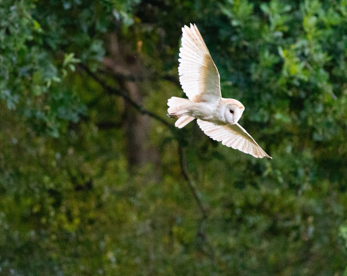 Clare Slade tweet media