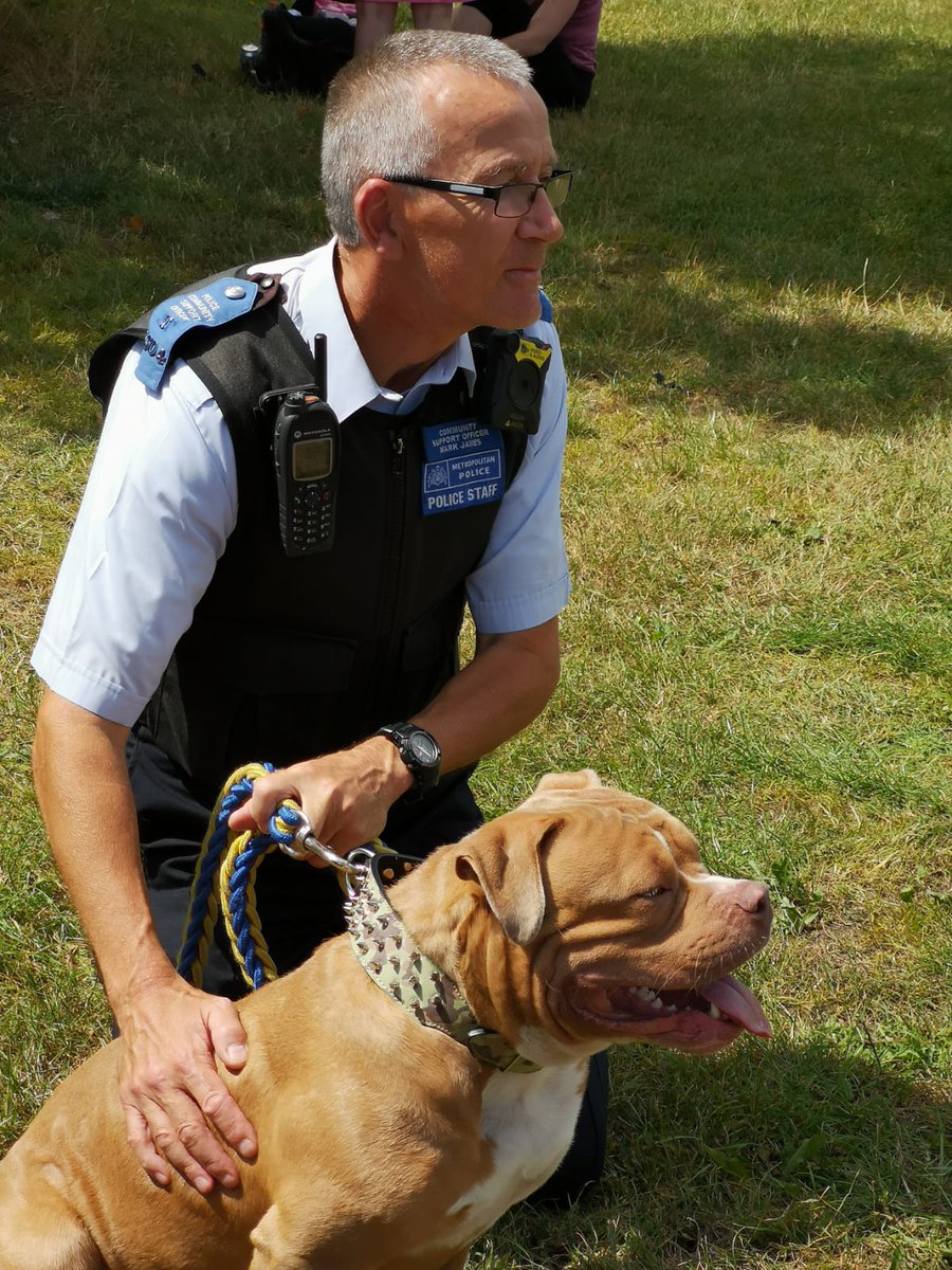 MPSHestonEast's tweet photo. Team along with @MPSHounslowWest  @MPSHounslowHth @MPSOsterley @MPSRTPC &amp; #PCSOSteve had a good day engaging with the community today at Bedfont Lakes for #JointSerivcesOpenDay https://t.co/wGLXl1Amja