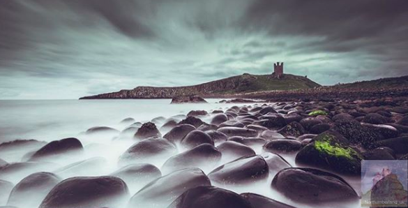 Another stunning shot captured at Dunstanburgh Castle!
Which Northumberland beauty spot is your favourite? 
📸 @ broadsters via IG

#Northumberland #NorthEast #Nissan