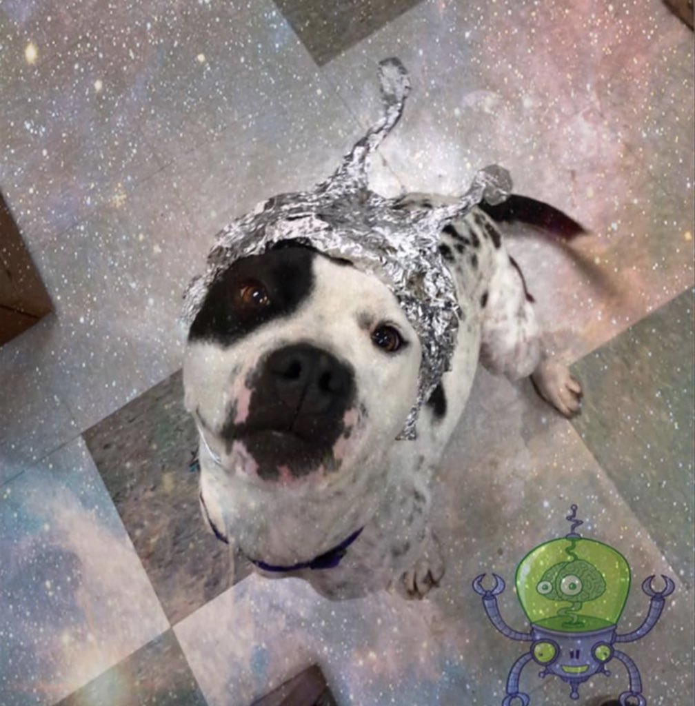 ok my itty bitty heart cannot HANDLE THIS