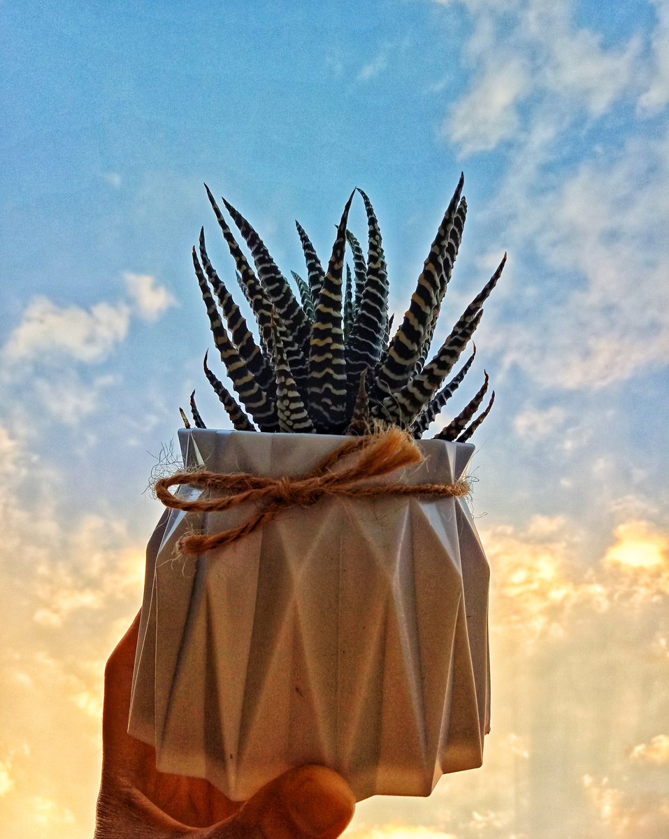 Percaya belum sepenuhnya