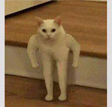 @helloitsjr i require 