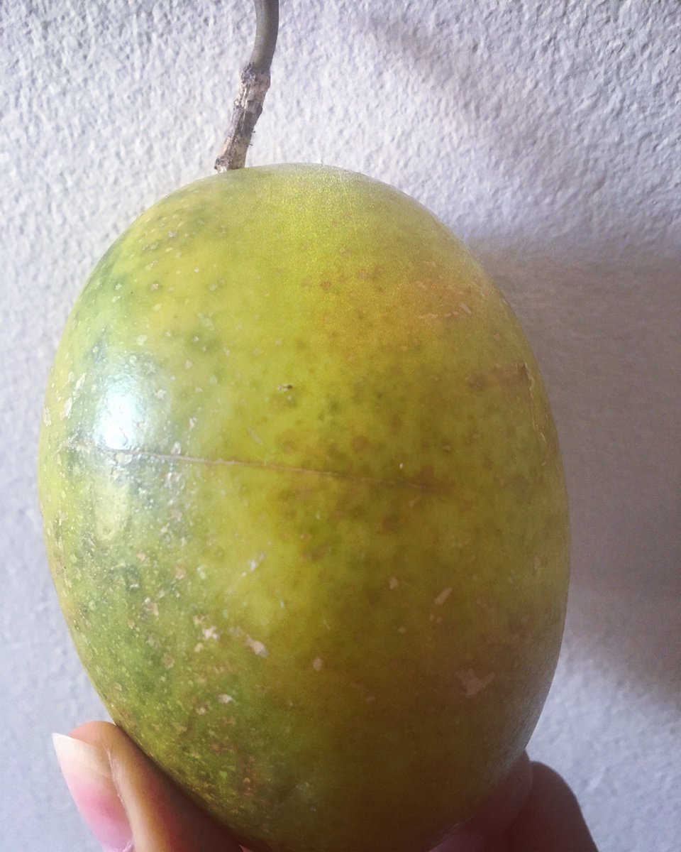 ¿Con qué nombre conoces esta fruta? 
Déjanos tú respuesta aquí 👇🏻👇🏻
