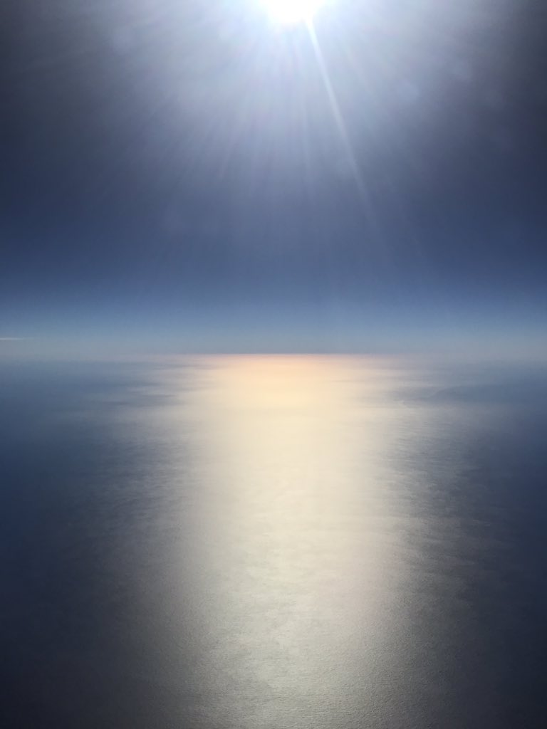 xx_kiwi_G_xx's tweet image. First time flying Sharknado ✈️
First time flying a Qantas WiFi enabled aircraft 😃

But but .... Tasman 😭 #nocoverage