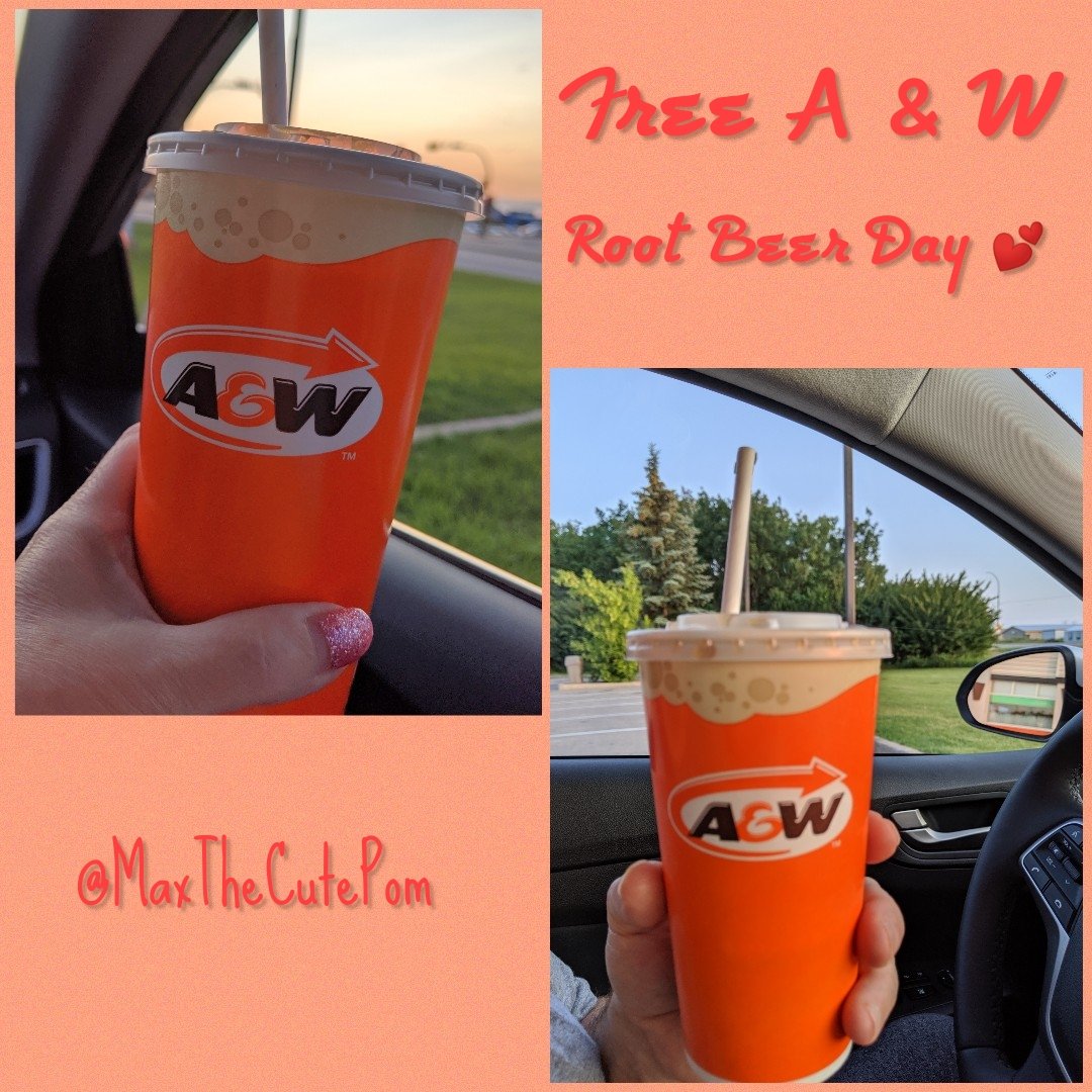 MaxTheCutePom's tweet photo. Thank you 💕@awcanada
#FreeRootBeerDay 😊 #Canada🇨🇦 https://t.co/wuLw9Sttwv