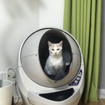 ついに猫が宇宙船に乗って出発か？