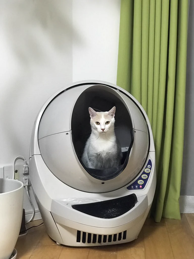 ついに猫が宇宙船に乗って出発か？