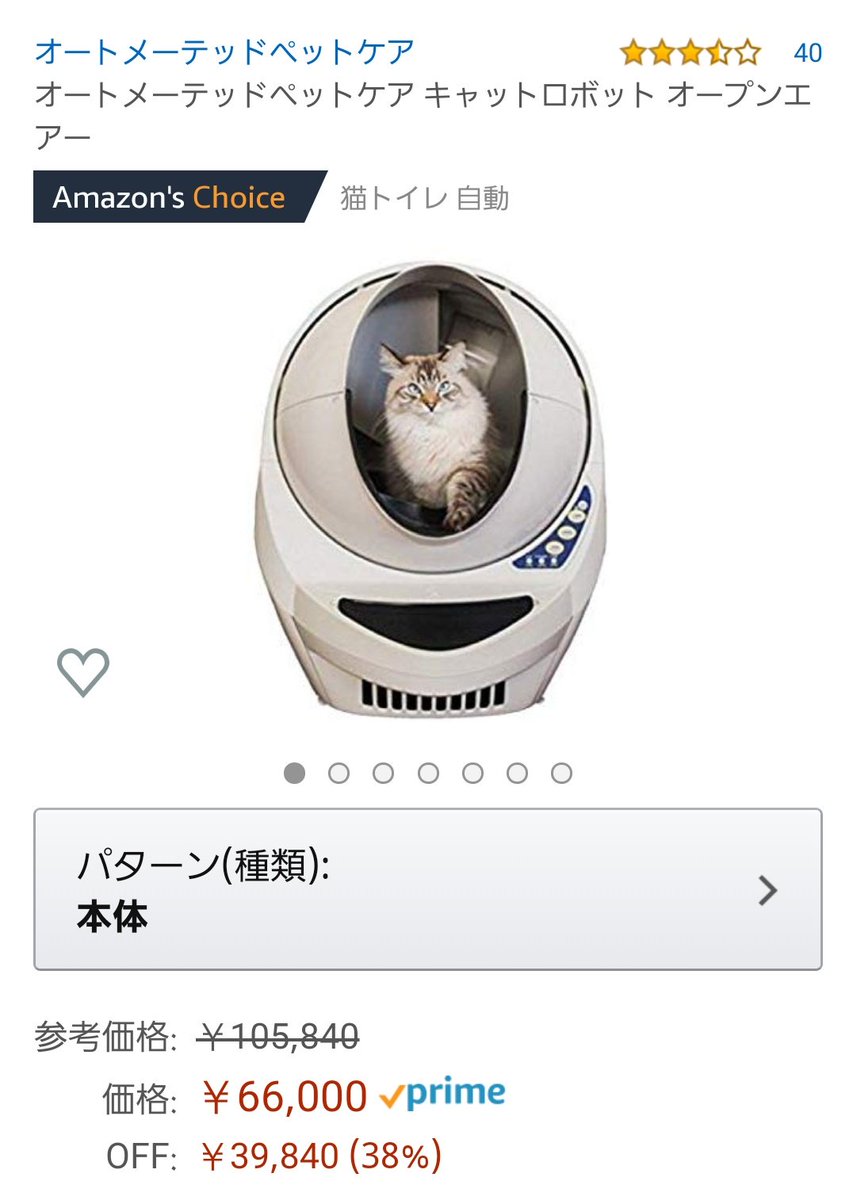 スマイル サンシャイン 池崎 猫