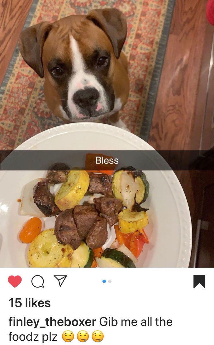 ❤️🐶Cutest dog ever!🐶❤️