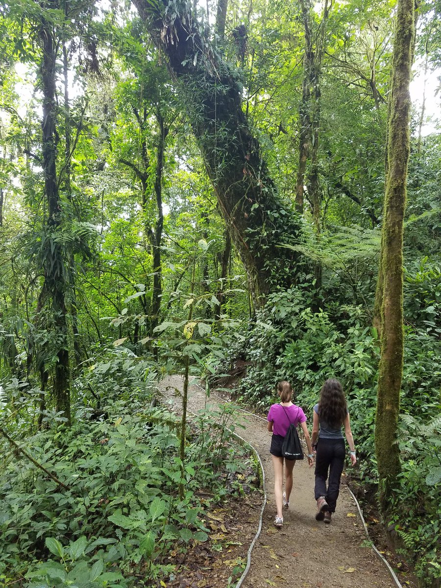 GlobalMccowan's tweet photo. We learned today that seeing a sloth  can be the product of a journey.  As finding happiness is not a planned destination but a product of accomplishing our goals.  @GJourneys #crgjourneys https://t.co/SpY6JR6SoX