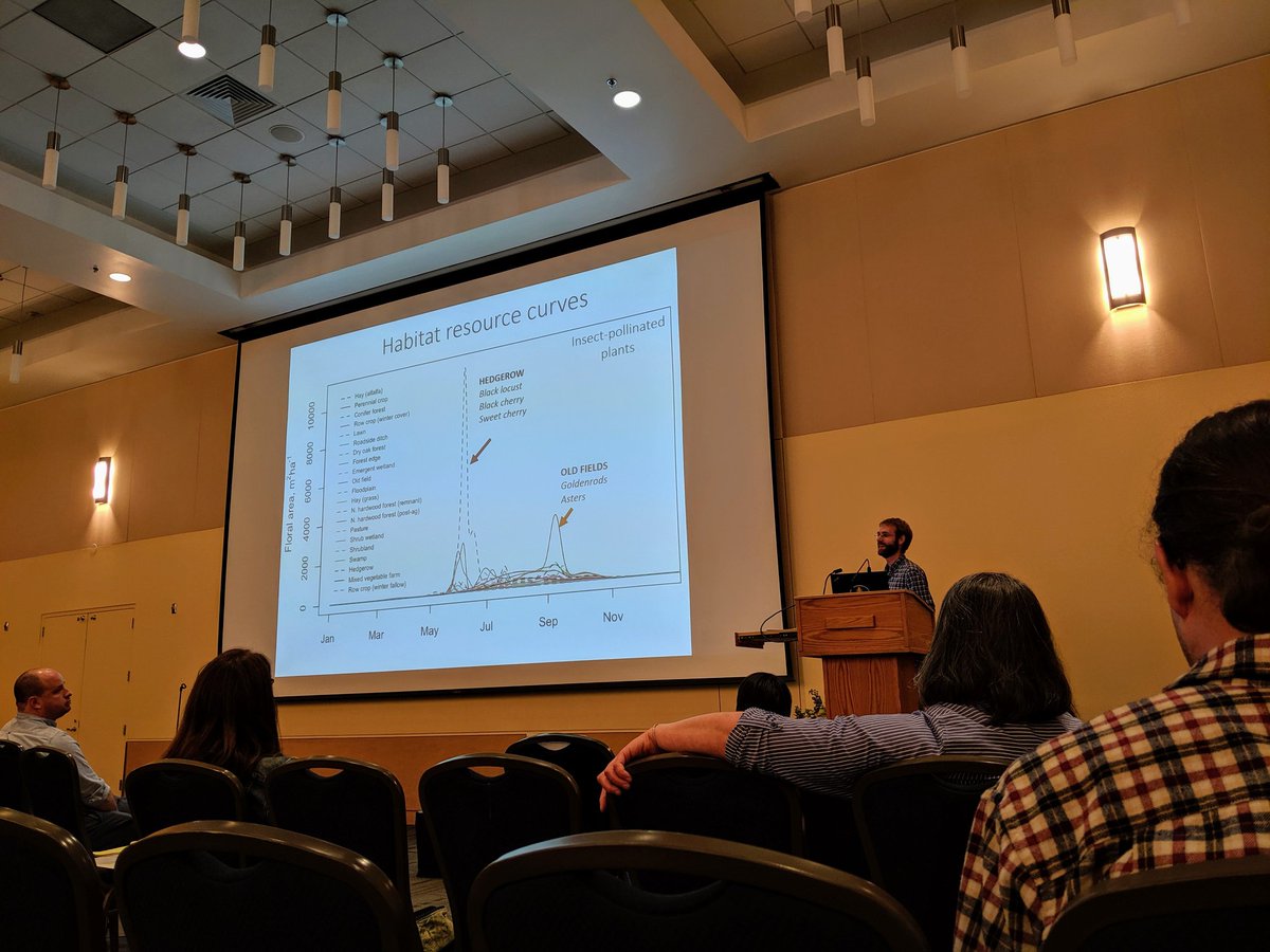 dianaobregonc's tweet photo. Aaron Iverson presenting his amazing results on modelling floral resources in the Finger Lakes Region and how this is related to pollinator abundance @cornellento #PollCon19 https://t.co/2Y6BTTuyO5