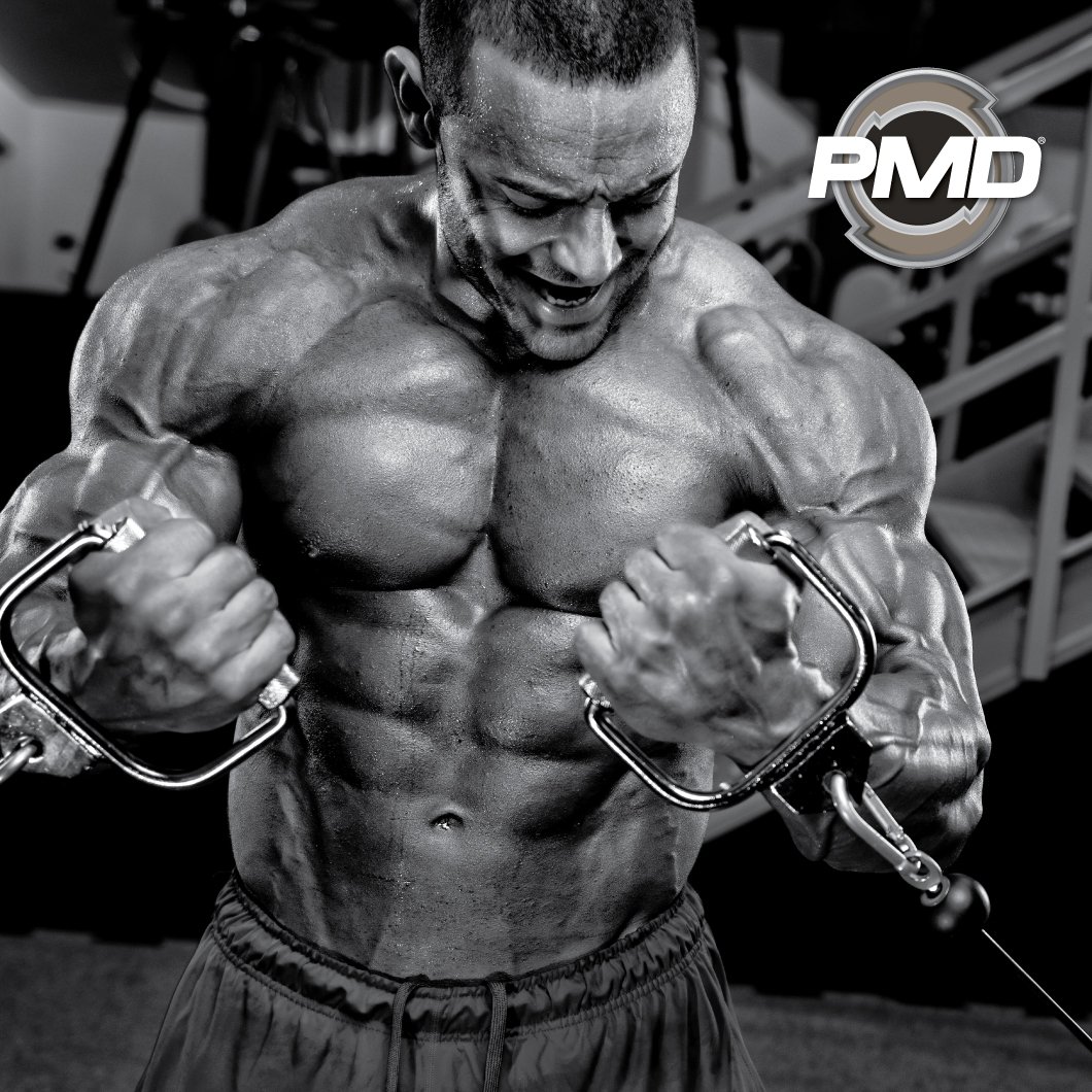 PMDSports's tweet photo. PMD Strong! Only at GNC!
Click here to find a GNC near you: https://t.co/65BHVaJWNC
#pmdsports #pmdstrong #pumpfuel #corefuel #amplifyxl #methylandro #arsenalx #ntest600 #cg5 #nitroCM #omegacuts #bodybuilding #fitlife #strength #gnc https://t.co/rGFSoe28Ld