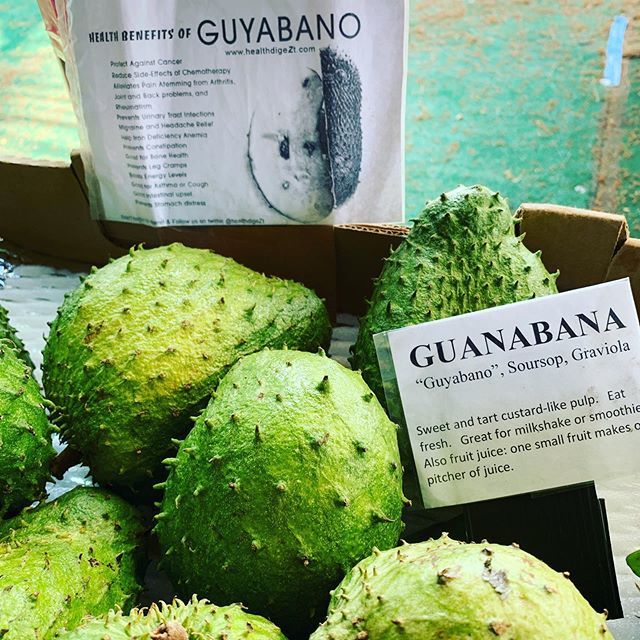 AMauiBlog's tweet photo. Guyabano, known here is the US as Soursop is available at Rowena’s - the Farmer’s Market At the Aloha Market Place across the road from Kukui Mall #guyabano #soursop #farmersmarket #farmersmarkethawaii #mauifarmersmarket #healthyfood #healthyonmaui #sat… https://t.co/A0nZD7gZnI https://t.co/hRhtIGqeyM