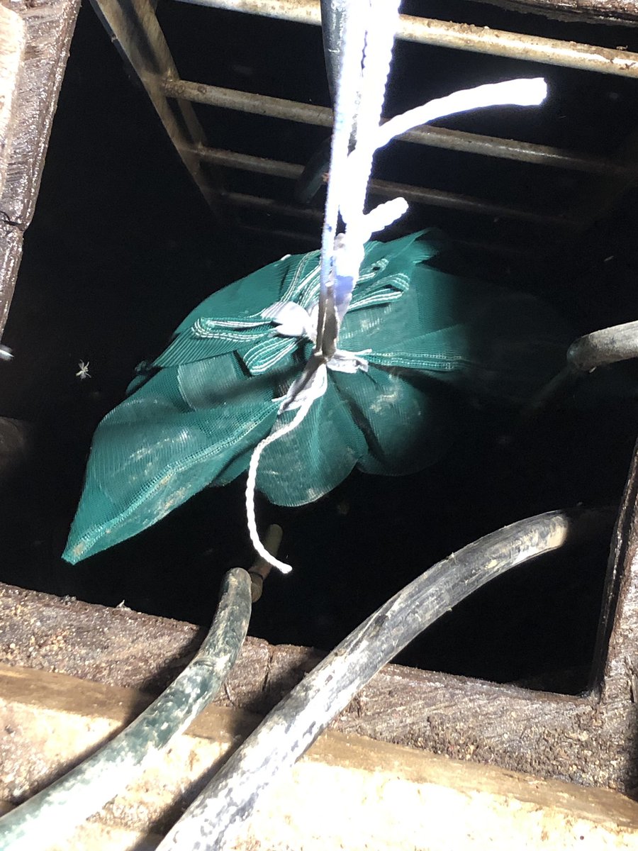 TKonsorada's tweet photo. Excited/curious to try the wetting agent product Retain Magnum Pellets by Floratine. Down the wet well the pellets go to disperse the wetting agent through an irrigation cycle. Sure would beat spraying all day....... https://t.co/avFzfVVqwd