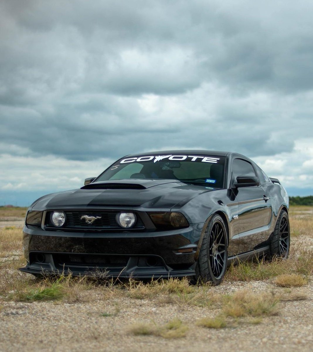 BlueDream0717's tweet photo. #StangSaturday https://t.co/AfAeO33HTE