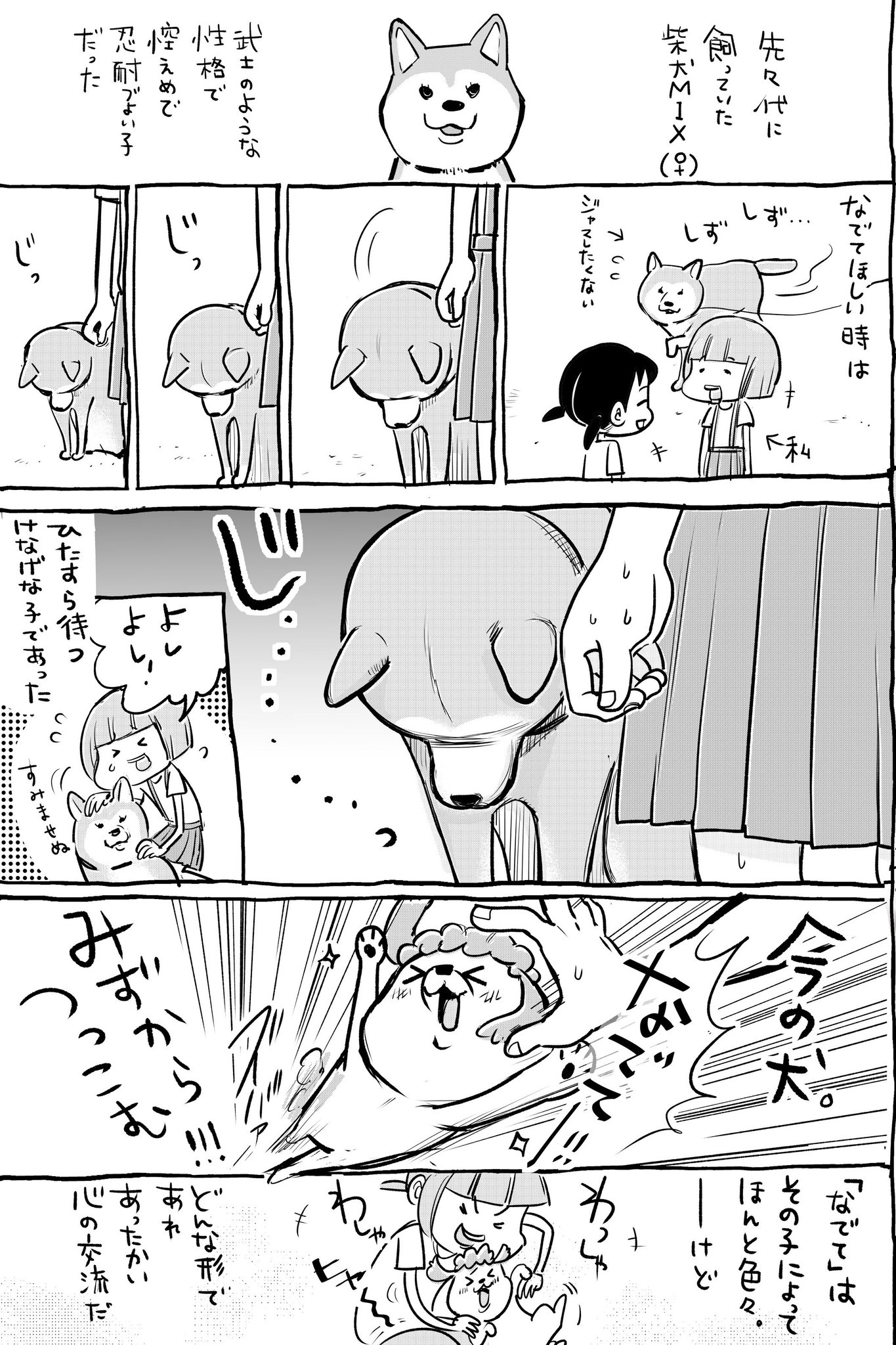 松本ひで吉 10月13日犬猫7巻発売 犬と猫どっちも飼ってると なでなでもまたいろいろで毎日たのしい