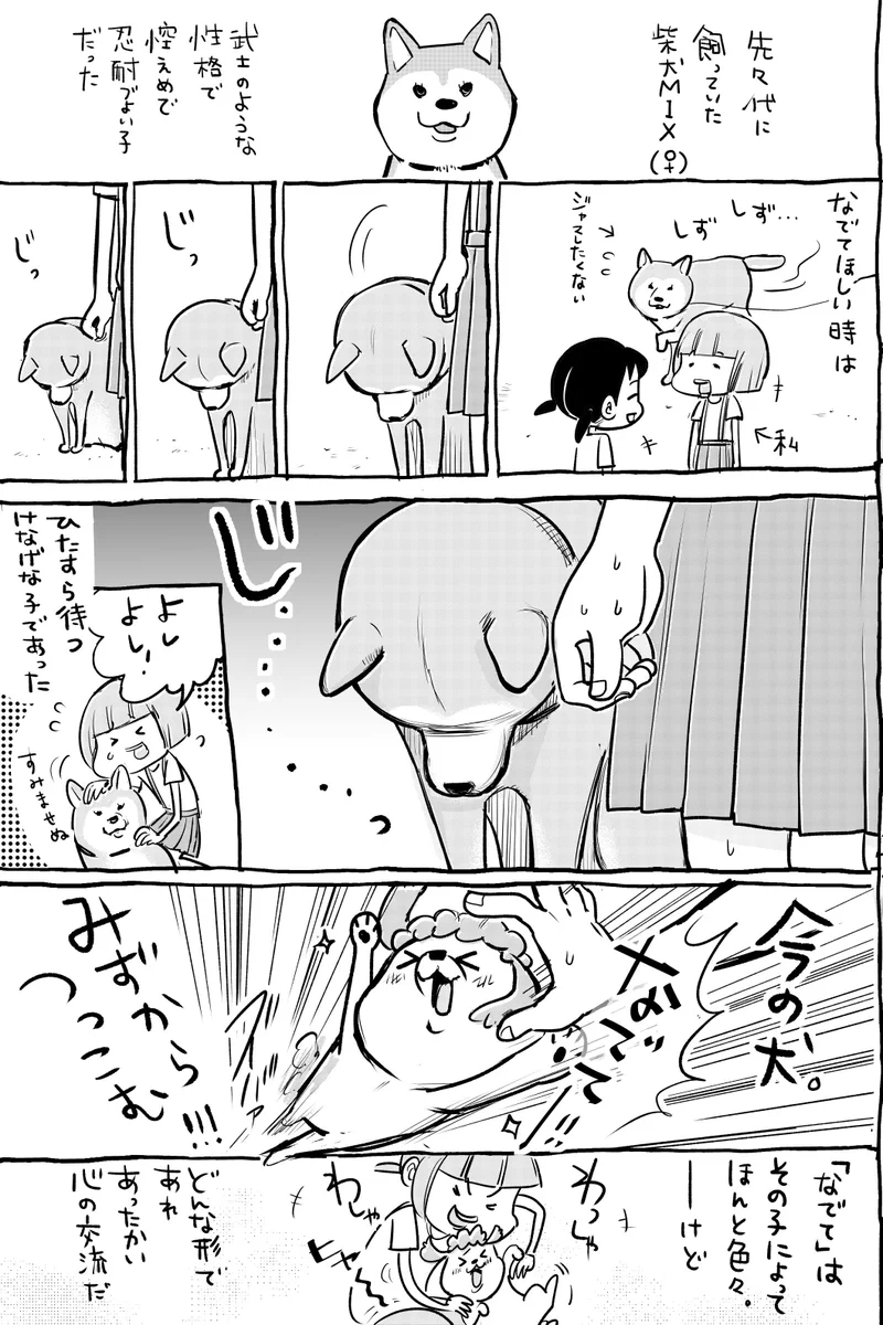 犬と猫どっちも飼っているとなでなでの方法もいろいろで毎日楽しい！！