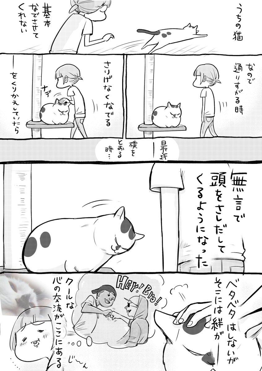 犬と猫どっちも飼ってると、なでなでもまたいろいろで毎日たのしい。 