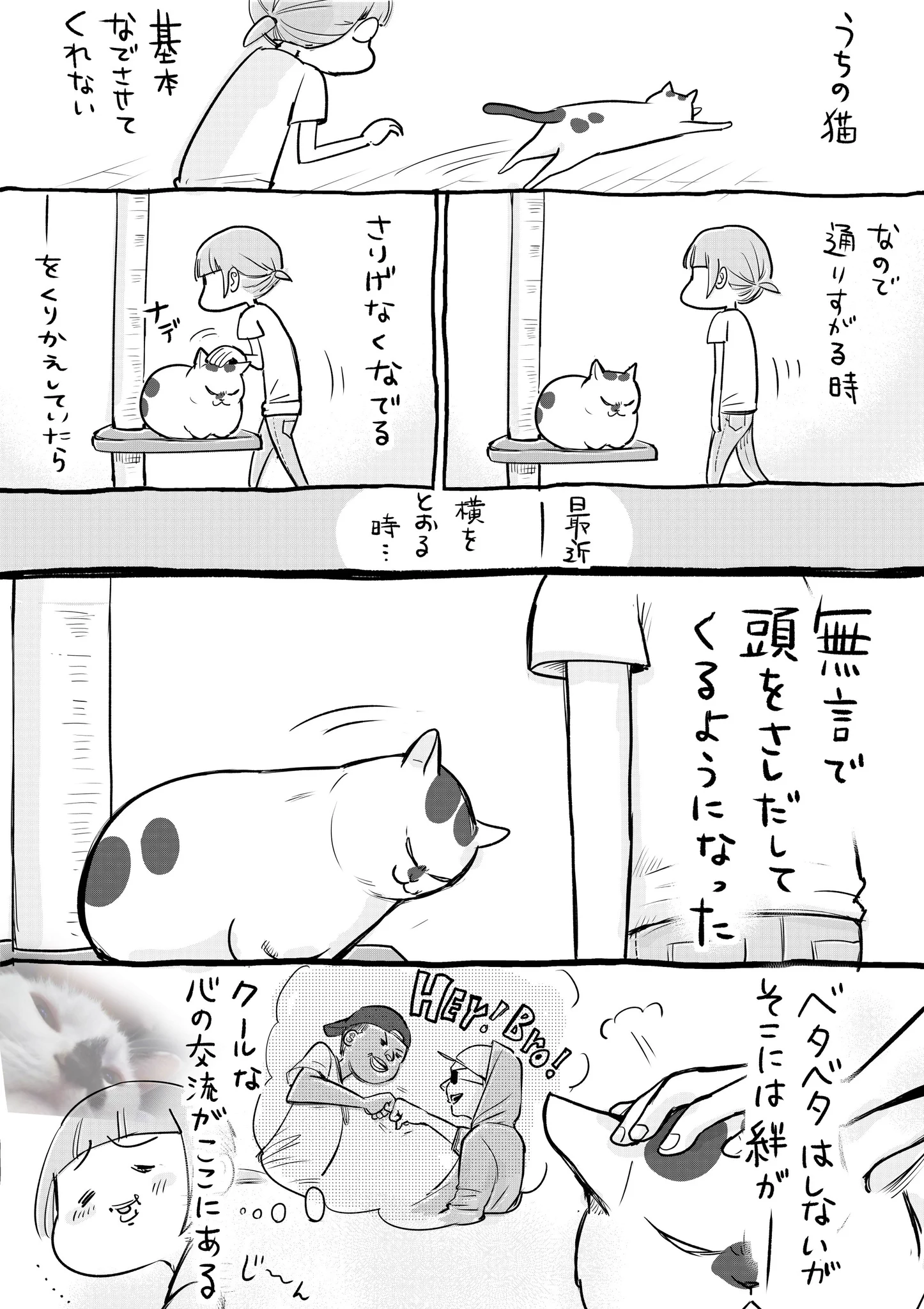 犬と猫どっちも飼っているとなでなでの方法もいろいろで毎日楽しい！！