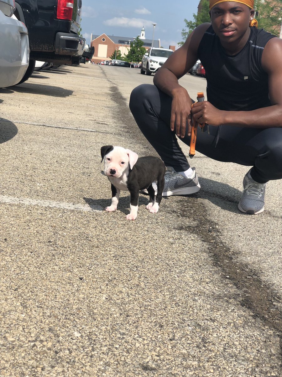 OKSTATEMI's tweet photo. #WhosWhoOfOkstate 

LaKyron Mays
* Secretary
* Sophomore 
* Sports Communication Major

@zamm_kyron https://t.co/yKG4XsRoLq