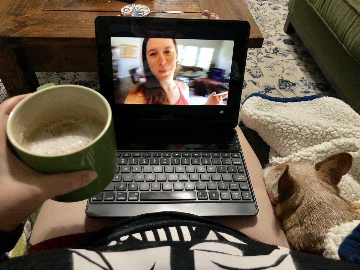 FeathersFunky's tweet image. When you should be writing but keep watching @katecavanaughwrites instead. At least it’s related to writing, right? 🤷🏼‍♀️ #slacking #shouldbewriting #bellathechihuahua