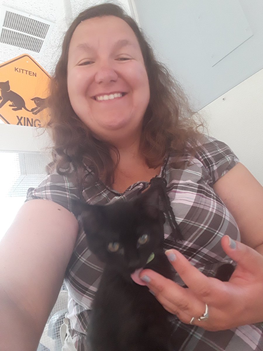 aurora_84's tweet photo. I HAVE A @hllangel! And also all of her work kittens!! #SFtweet (even though I'm no longer in SF, but I don't wanna doxx H. without her consent lol) https://t.co/zREPcBO6AZ