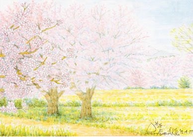 FreeHoshino's tweet photo. 『桜咲く、米沢の春』
#星野文昭 https://t.co/tOLWlHhtHH