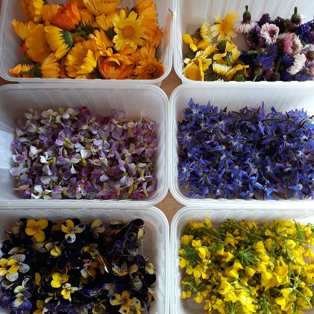 Jennifer Pryke tweet media