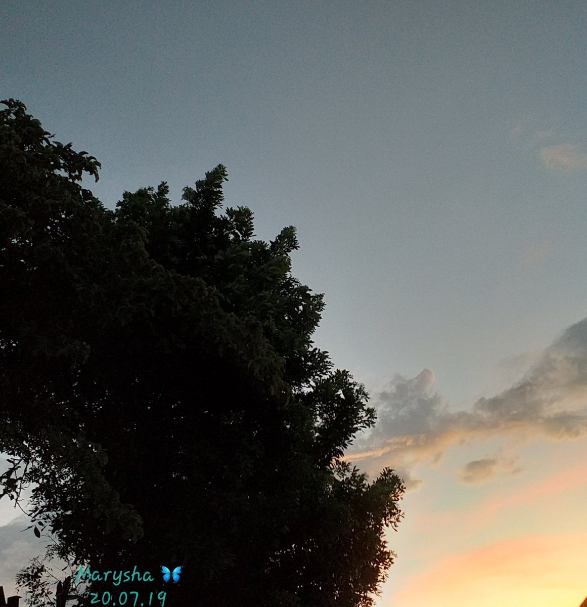 MariaMaryhala's tweet photo. Así nos llega la hora vespertina
en nuestro país, desde un mismo punto en 7 minutos, así es este tiempo en San José, CR 🇨🇷 ⚘
#ClimaCR #InviernoCR https://t.co/n6G8QR5vdz