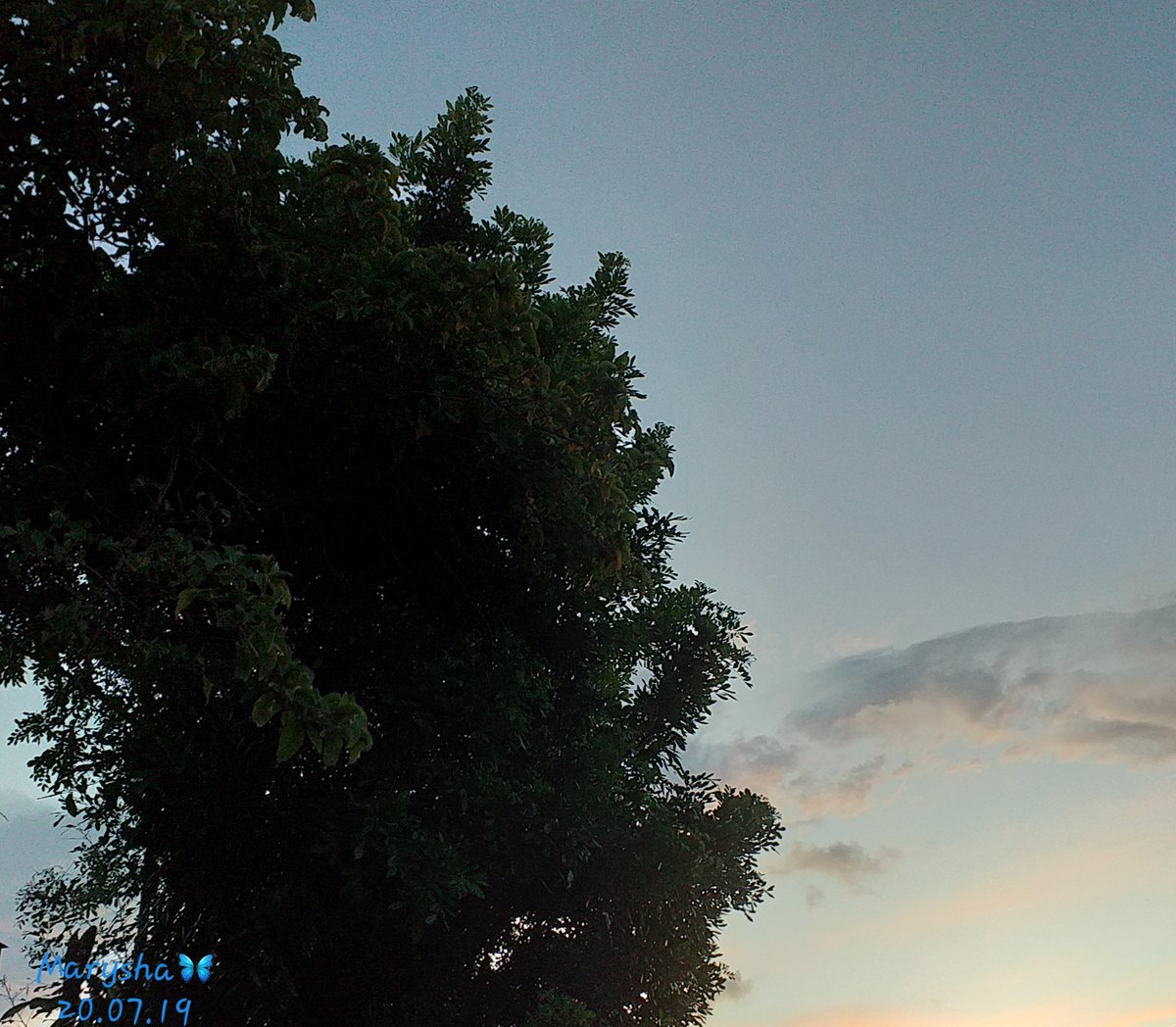 MariaMaryhala's tweet photo. Así nos llega la hora vespertina
en nuestro país, desde un mismo punto en 7 minutos, así es este tiempo en San José, CR 🇨🇷 ⚘
#ClimaCR #InviernoCR https://t.co/n6G8QR5vdz