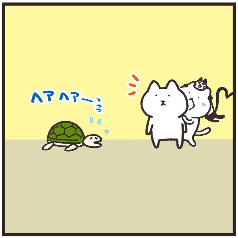 甲羅を活かした亀助け
#まるとしっぽ
 