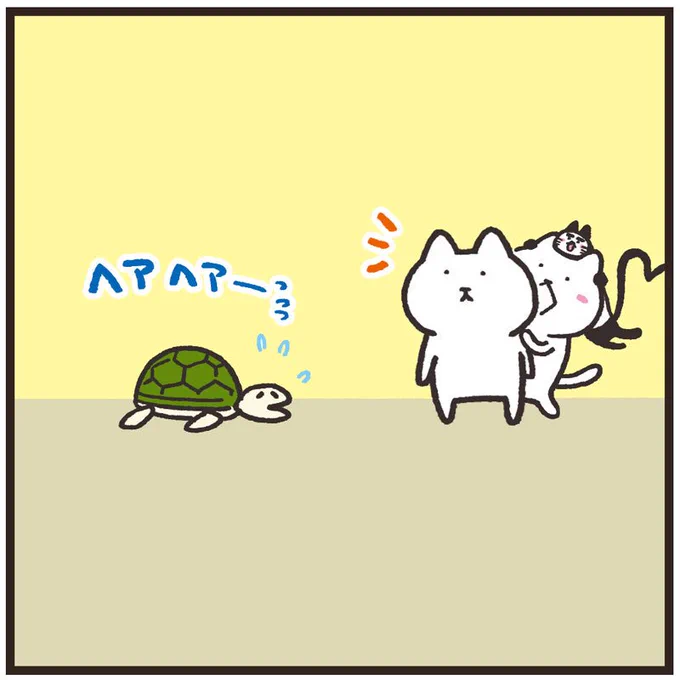 甲羅を活かした亀助け
#まるとしっぽ
 