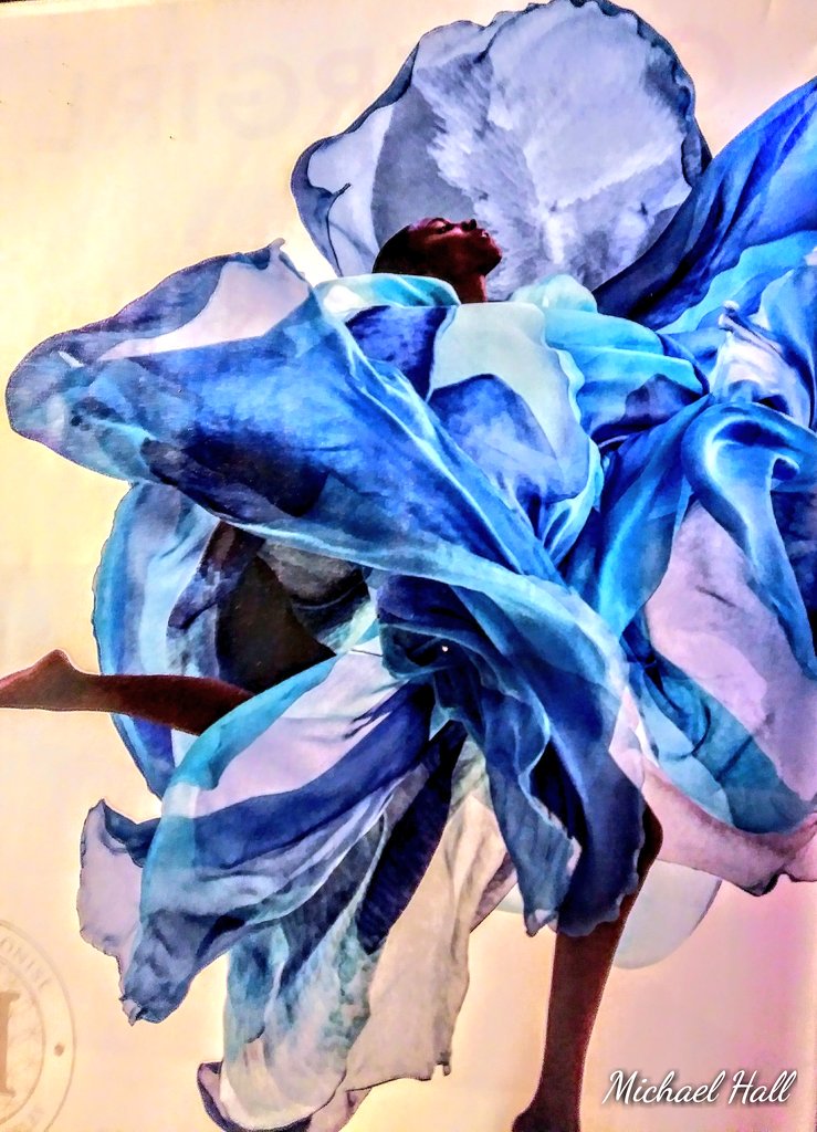 "Beautiful Blues" #moderndesign #art #photograghy