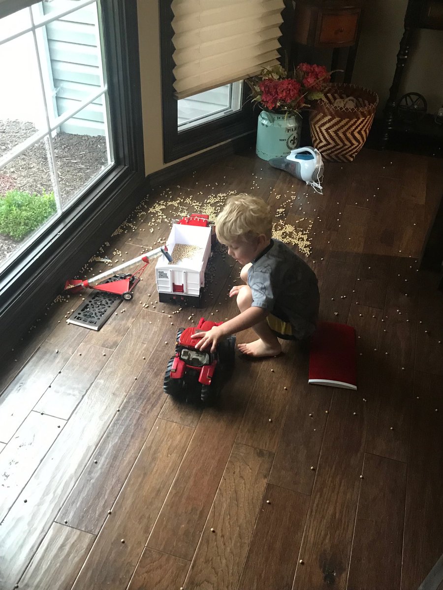 My wife is gong to kill me.  He said he needed beans to haul