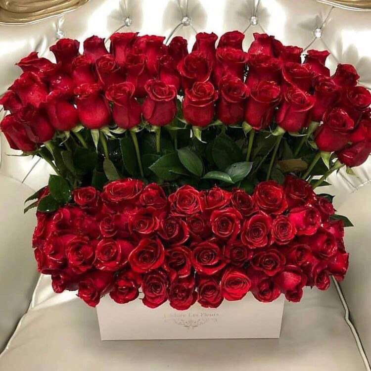 KW11M's tweet image. ↓🎼🎻` 

💐 لـولا الأنثى ، لأغلق بائع الـورد دكانـه 💐

┈┉━❀ @KW11M ❀━┉┈ 

#حقيقه

#رتويت علشان مااسكر دكاني وماكو ورد 😉
⠀⠀ 
⠀⠀