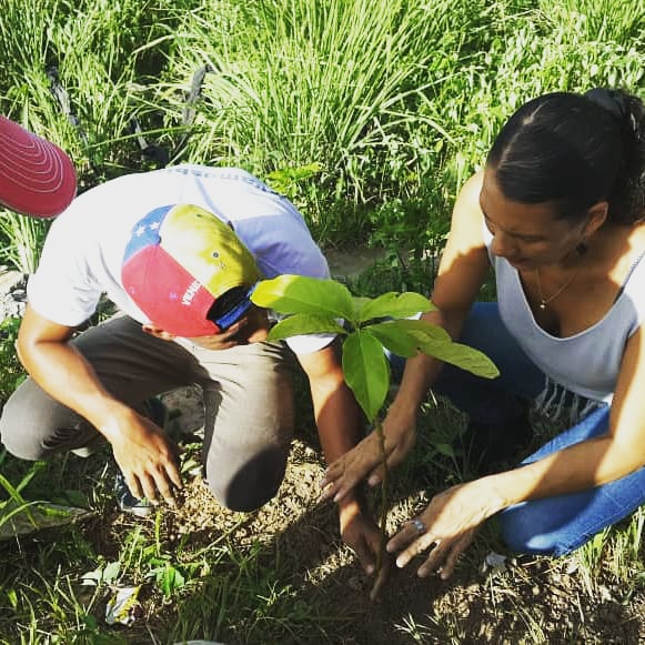 JVPPlaza's tweet photo. Hoy #20Jul nos activamos en el sector Oropeza "Dos Plantas" para sembrar un árbol que simboliza nuestro compromiso con la lucha por el cese de la usurpación y la libertad plena de nuestra nación por qué como jóvenes permanecemos #SembradosEnVenezuela https://t.co/7YpwKiP1bB