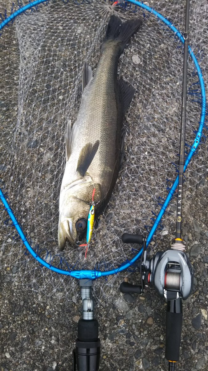 트위터의 川崎新堤防 해시태그