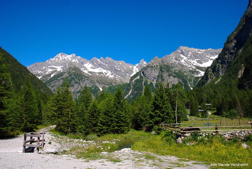 Camminiamo Insieme ha bisogno di voi!! Raccontateci la vostra Route! 
Compilate il form
forms.gle/oQUcUKg6agBZ4y…
#route #camminiamoinsieme #capitolo #agesci #brancars