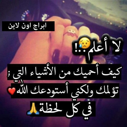 amoleeaa's tweet photo. https://t.co/SYgyxya6ur
