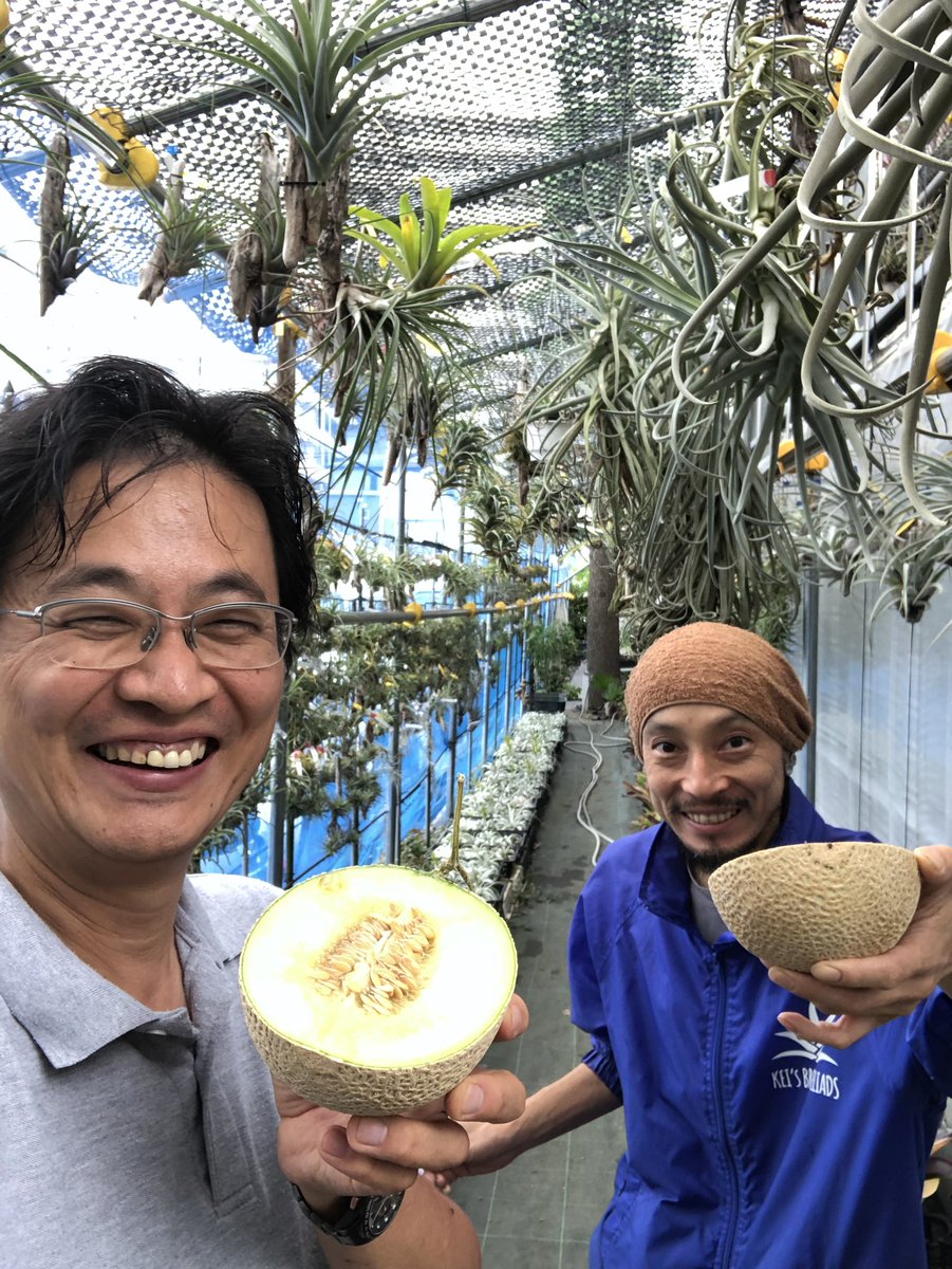 KBromeliads's tweet photo. 今日は、静岡メロン🍈オヤツ 
皮は、スーちゃんのオヤツ

#keisbromeliads 
#loriusgarrulus 
#lorius  
#スーちゃん
#ショウジョウインコ https://t.co/JHripudx5E