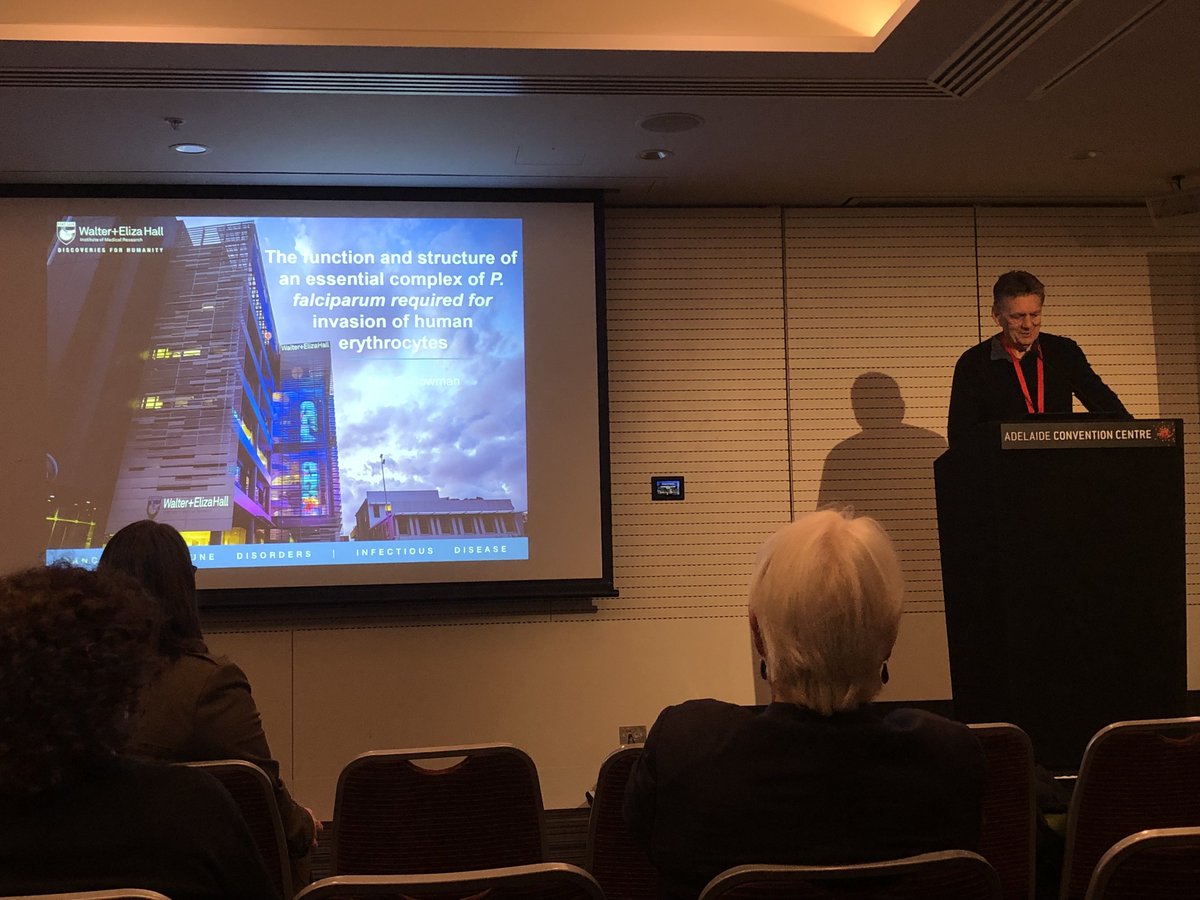 AS_Para's tweet image. Beginning our #2019ASP Immunity &amp;amp; Vaccine symposium is @afcowman @WEHI_research @unimelb presenting the structure of the #malaria Rh5/CyRPA/Ripr invasion complex, and it&apos;s potential as a #malariavaccine candidate 💉